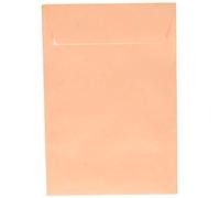 Liderpapel Sobre Bolsa N.0 Crema Salarios 100X150Mm Engomado Caja De 500 Unidades