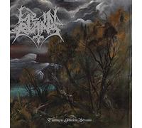 Lie in ruins - Floating in timeless streams