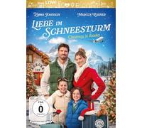 Liebe im Schneesturm - Christmas in Alaska [DVD]