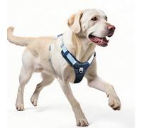 LiebeDD Arnes Perro Grande - Arnés Antitirones Perros en Forma de Y Ajustable Easy Walk Pechera para Perro, Cómodo & Transpirable, Dog Harness, Peitoral para Cão, Azul Oscuro, XL