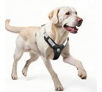 LiebeDD Arnes Perro Grande - Arnés Antitirones Perros en Forma de Y Ajustable Easy Walk Pechera para Perro, Cómodo & Transpirable, Dog Harness, Peitoral para Cão, Negro, XL