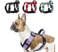 LiebeDD Arnes Perro Pequeño Mediano Grande, Arnes Antitirones Perro, Arnes 3 Puntos Perro con Lineas Reflecantes, Peitoral para Cão, Cómodo Transpirable Arnes Bulldog Frances Dog Harness, Morado, XL