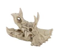 LiebeWH Modelo de Calavera de Dinosaurio, Esqueleto Simulado de Resina, Triceratops, Artesanía Decorativa para Entusiastas de los Dinosaurios