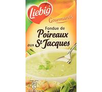 Liebig - Juego de 4 fondue de puerro con ladrillo Jakobskant, 1 litro