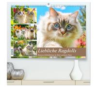 Liebliche Ragdolls. Katzen-Schönheiten in ihrer grünen Oase (hochwertiger Premium Wandkalender 2026 DIN A2 quer), Kunstdruck in Hochglanz: Die ... Ragdoll-Katzen in idyllischen Gartenszenen