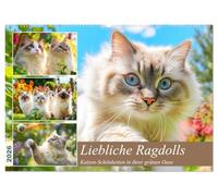 Liebliche Ragdolls. Katzen-Schönheiten in ihrer grünen Oase (Wandkalender 2026 DIN A2 quer), CALVENDO Monatskalender: Die verspielte Eleganz und ... Ragdoll-Katzen in idyllischen Gartenszenen