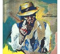 Liebman, Dave - What It Is