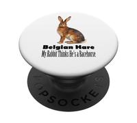 Liebre Belga Mi Conejo cree Que es un Caballo de Carreras PopSockets PopGrip Adhesivo