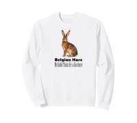 Liebre Belga Mi Conejo cree Que es un Caballo de Carreras Sudadera