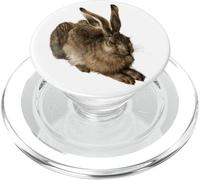 Liebre Joven (Feldhase) de Albrecht Durer (1502) PopSockets PopGrip para MagSafe