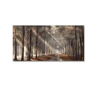 Lienzo con árboles y sombras de sol escandinavo, póster de paisaje, camino forestal, arte de pared, impresiones para decoración del hogar, 50 x 120 cm (20 x 48 pulgadas) con marco
