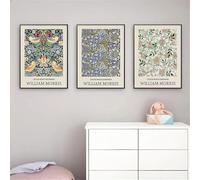 Lienzo con estampado abstracto de plantas tropicales, estilo moderno vintage, flores y pájaros, ideal para decorar la pared de tu dormitorio o sala de estar (60x80cm - 3 piezas).