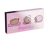 Lienzo con luz pusheen