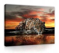 Lienzo Cuadro de imágenes pared Imágenes Canvas - Jaguar 101 O1