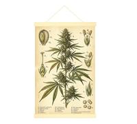 Lienzo de cannabis para colgar en la pared, ilustrativo botánico, hojas de flores, no verde, pósteres para colgar en la pared, baño, cocina, dormitorio, decoración de 16 x 24 pulgadas
