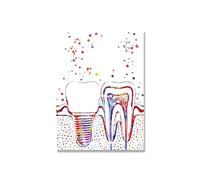Lienzo de implante dental, pintura pared, póster arte Dental, impresiones anatomía dentista, imágenes artísticas médica, decoración clínica Hospital(Picture 7,20x25cm no frame)