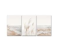 Lienzo de paisaje marino blanco, pintura nórdica de mar, playa, pampas, hierba botánica, imágenes para sala de estar, cocina, arte de pared, decoración, póster, 75 x 110 cm x 3, sin marco