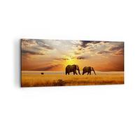 Lienzo Decorativo 120x50cm Moderno Panorámico Paisajes Naturaleza - 3150