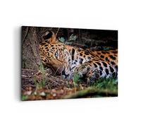 Lienzo Decorativo 120x80cm Moderno Horizontal África Naturaleza - 4493 | Leopardo Retrato Jaguar Cuadro sobre Lienzo Grande Arte mural Decoración del Hogar Salón Dormitorio Oficina Cuadros de Pared