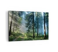 Lienzo Decorativo 120x80cm Moderno Horizontal Botánica Paisajes - 4398