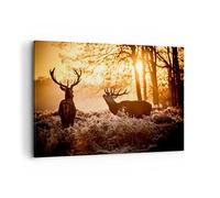 Lienzo Decorativo 120x80cm Moderno Horizontal Naturaleza Animales - 3043