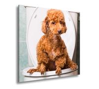 Lienzo decorativo con diseño de caniche en jodle - Negocios serios con encanto en escena. Formato: 70 x 70 cm, impresión artística XXL sobre bastidor/mural/decoración de salón