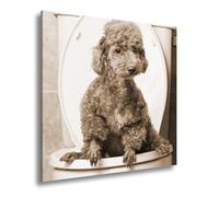 Lienzo decorativo con diseño de caniche en jodle - Negocios serios, con encanto, formato: 70 x 70 cm, efecto: sepia XXL, impresión artística sobre bastidor/mural/decoración de salón