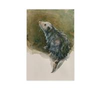 Lienzo decorativo de zarigüeya con diseño de animales, decoración de dormitorio, paisaje, oficina, habitación, regalo, 20 x 30 cm