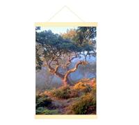 Lienzo decorativo para colgar en la pared, diseño de helecho de niebla escénica de naturaleza, impresiones artísticas verdes para el hogar, aula, oficina, cubículo, 40,6 x 60,9 cm