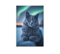 Lienzo decorativo para pared, 20 x 30 pulgadas, un gato gris con ojos verdes tumbado en la nieve bajo la aurora boreal, pinturas decorativas para el hogar, dormitorio (sin marco)
