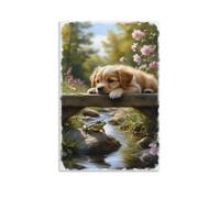 Lienzo decorativo para pared, 40,6 x 61 cm, un cachorro dorado acostado en un puente de madera, una rana verde sentada en una roca en el agua, pinturas decorativas para el hogar, dormitorio (sin marco
