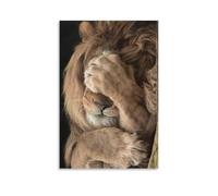 Lienzo decorativo para pared, 50.8 x 76.2 cm, un león cubriendo su cara con sus patas, pinturas decorativas para el hogar, dormitorio (sin marco)