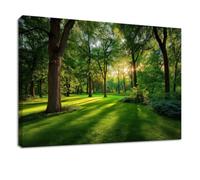 Lienzo decorativo para pared, 70 x 50 cm, pintura de pared verde con luz del sol, árboles, decoración para sala de estar, dormitorio, lienzo enmarcado, obras de arte en casa y oficina