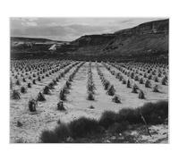 Lienzo decorativo para pared, Adams, campo de maíz, granja india cerca de Tuba City, Arizona 1941, 50 x 40 pulgadas, listo para enmarcar, ideal para decoración del hogar u oficina, gran idea