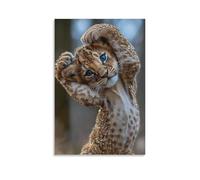 Lienzo decorativo para pared de 61 x 91 cm, un cachorro de león bebé de escamas doradas con ojos azules, elevando sus patas por encima de su cabeza, pinturas decorativas para el hogar, dormitorio (sin