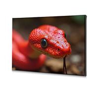 Lienzo decorativo para pared de baño con una serpiente roja vívida con la lengua afuera. Cuadro decorativo cristiano de Pascua, decoración para Cuartos, 20 x 30 cm