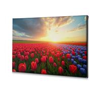 Lienzo decorativo para pared, diseño costero, puesta de sol sobre un campo de tulipanes, decoración de baño (20 x 30 cm)
