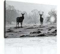 Lienzo decorativo para pared, diseño de ciervos y animales de la naturaleza, 88,9 x 61 cm, pinturas sin marco, cuadros minimalistas y rústicos, pósteres en blanco y negro o sala de estar, baño