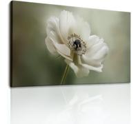 Lienzo decorativo para pared, impresión floral de anémona de 47 x 20 pulgadas, pinturas sin marco, elegantes imágenes minimalistas de pared, pósteres multicolor o sala de estar, baño, dormitorio