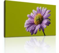 Lienzo decorativo verde para pared, diseño de margaritas florales para sala de estar, dormitorio, oficina, elegante, minimalista, elegante, para regalo de inauguración de la casa, 88,9 x 61 cm, sin
