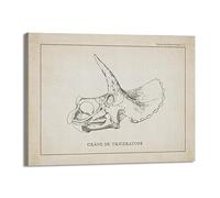 Lienzo decorativo vintage de esqueleto de dinosaurio, paleontología, pósteres de dinosaurios, fósiles, impresiones artísticas, triceratops, bocetos, imágenes, decoración de habitación de niño (SKU2