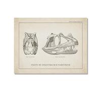 Lienzo decorativo vintage de esqueleto de dinosaurio, paleontología, pósteres de dinosaurios, fósiles, impresiones artísticas, triceratops, bocetos, imágenes, decoración de habitación de niño (SKU13