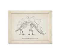 Lienzo decorativo vintage de esqueleto de dinosaurio, paleontología, pósteres de dinosaurios, fósiles, impresiones artísticas, triceratops, bocetos, imágenes, decoración de habitación de niño (SKU9