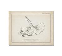 Lienzo decorativo vintage de esqueleto de dinosaurio, paleontología, pósteres de dinosaurios, fósiles, impresiones artísticas, triceratops, bocetos, imágenes, decoración de habitación de niño (SKU2