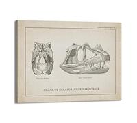 Lienzo decorativo vintage de esqueleto de dinosaurio, paleontología, pósteres de dinosaurios, fósiles, impresiones artísticas, triceratops, bocetos, imágenes, decoración de habitación de niño (SKU13