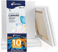 Lienzo estirado para pintar de 20 x 25 cm, paquete de 10 unidades, 300 g/m², triple imprimado sin ácidos, 100% algodón, lienzo de arte en blanco para verter acrílico pintura de acuarela al óleo