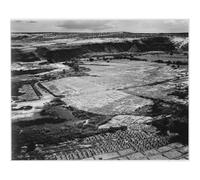 Lienzo Giclée de grado museo - Adams - Campo de maíz, granja india cerca de Tuba City, Arizona, 1941 - 50 x 40 pulgadas | Tintas de archivo en lienzo de polialgodón | sala de estar