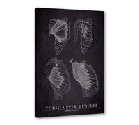 Lienzo médico de anatomía humana, pintura en lienzo vintage, esqueleto muscular, póster educativo para pared, impresión de hospital, clínica, decoración (SKU5,40.6 x 50.8 cm= (40 x 50 cm), enmarcado
