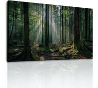 Lienzo multicolor para pared, bosque, árboles, decoración de pared, para sala de estar, dormitorio, oficina, paisaje moderno, imágenes para regalo de inauguración de la casa, 61 x 40,6 cm, sin marco