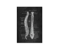 Lienzo sin marco, pintura de anatomía humana, obra arte, cuadro pared clínica médica, esqueleto, órgano, sistema muscular, póster educativo Vintage(3,30X45CM No Fram)